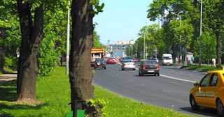 Посадка деревьев и кустарников в Черемхове — стоимость от 1251 руб.